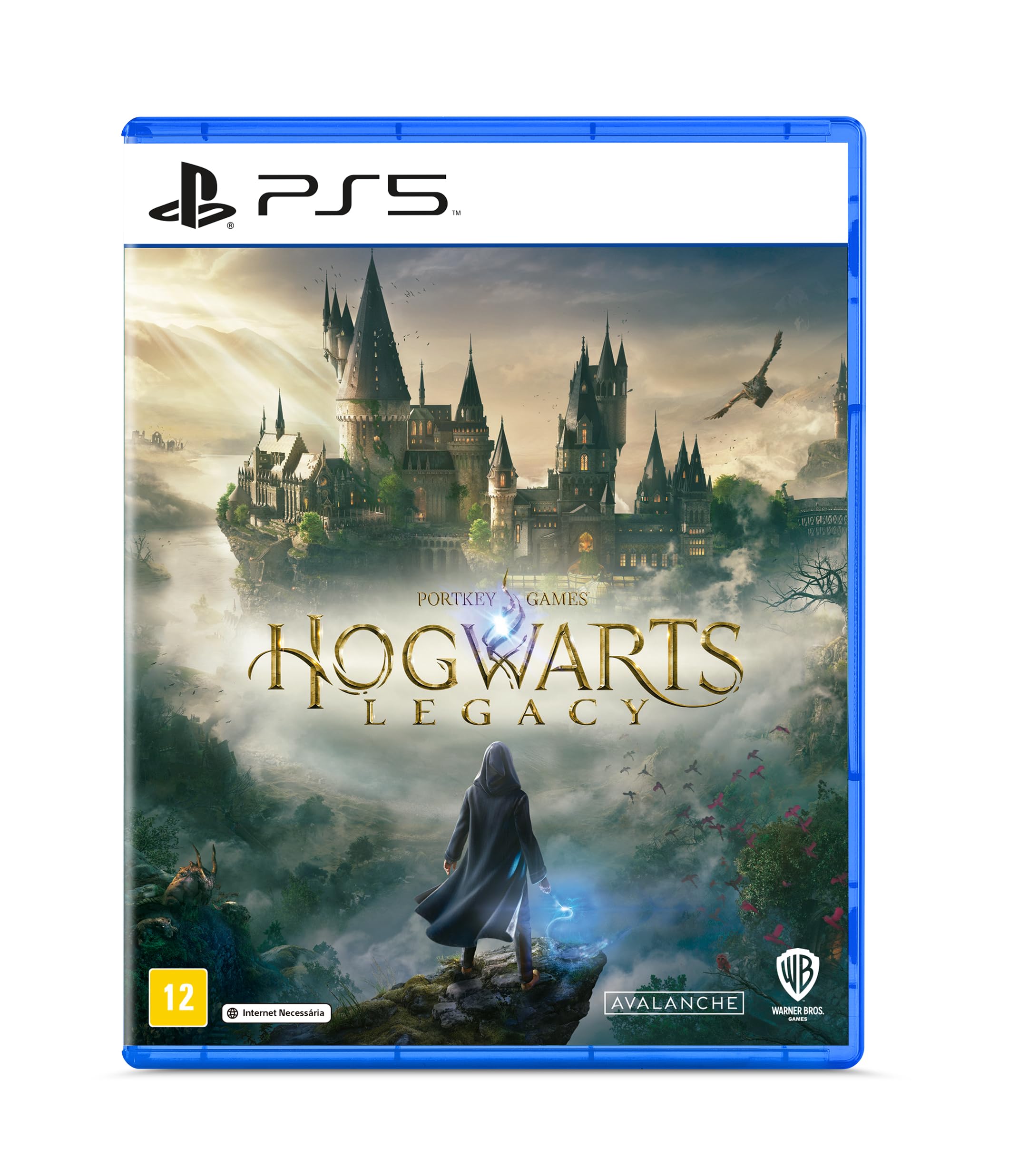 Jogo Hogwarts Legacy ps5