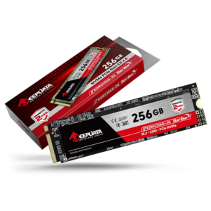 Ssd nvme Keepdata 256G